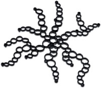 amoebe