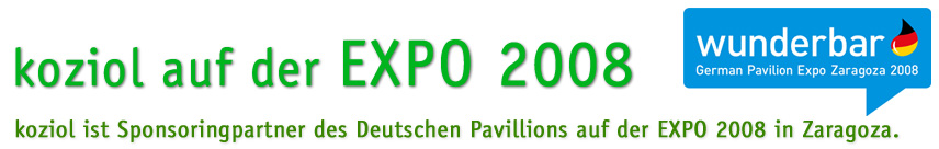 Expo 2008