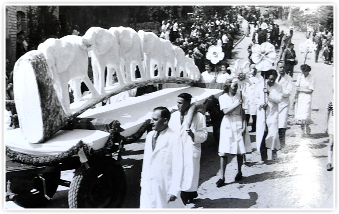 Wagen von Bernhard Koziol