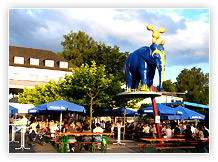 Sommerfest
