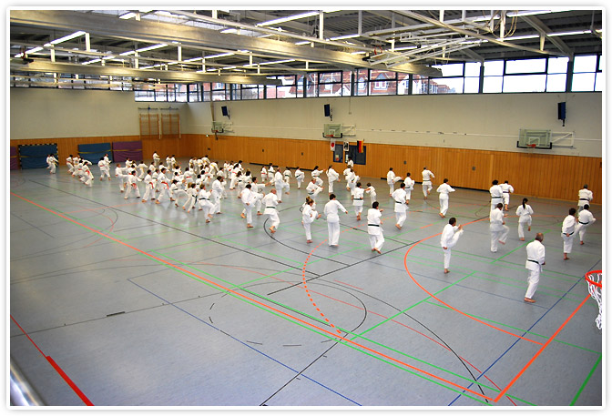 Karate-Lehrgang