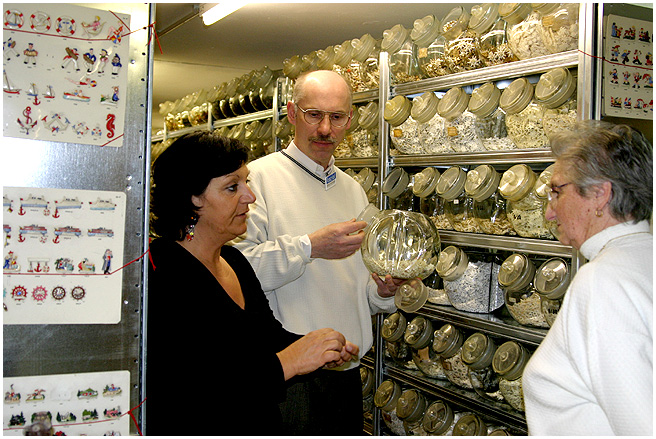 Elfriede Schäfer